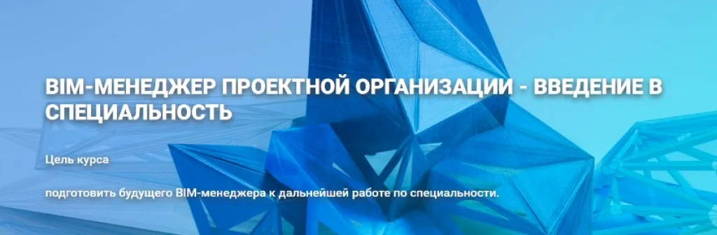 BIM-менеджер проектной организации — введение в специальность