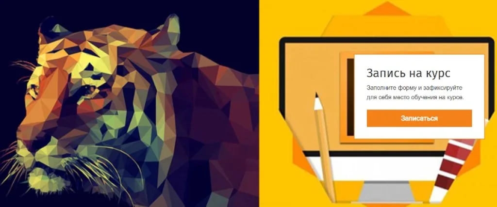 Adobe Illustrator