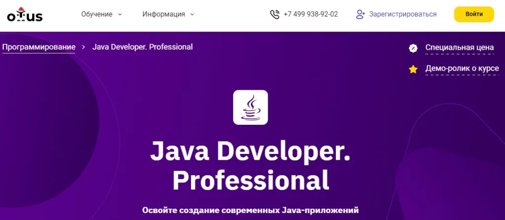 Java Developer. Professional