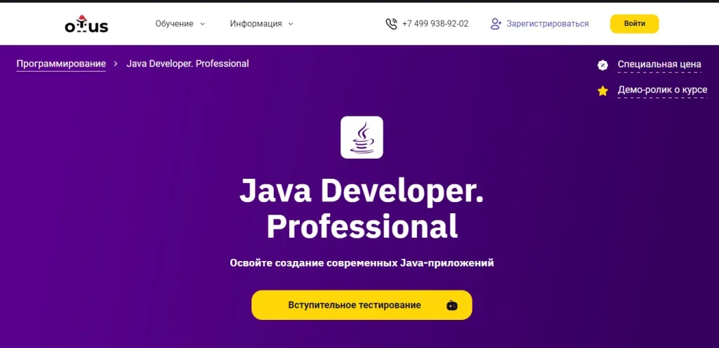 Java Developer. Professional