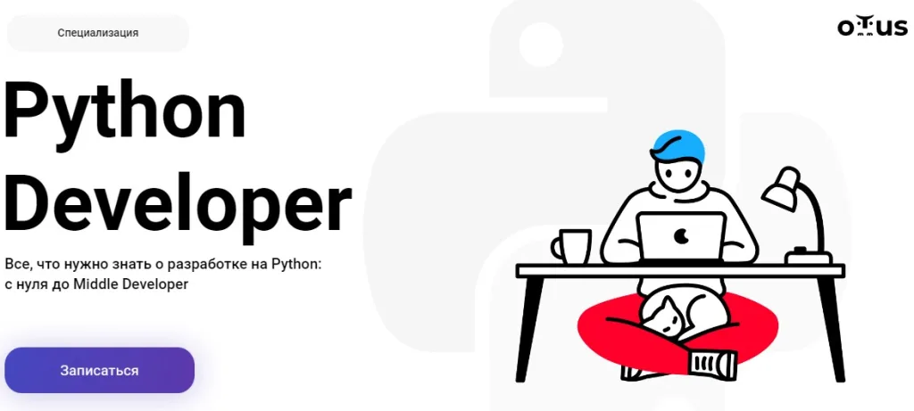 Python Developer