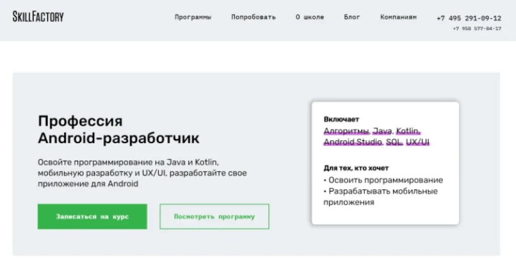 Мобильный разработчик