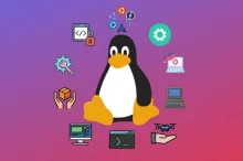 ТОП-15 лучших курсов Linux: какой курс выбрать, сравнение и стоимость