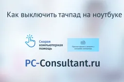 Как выключить тачпад на ноутбуке