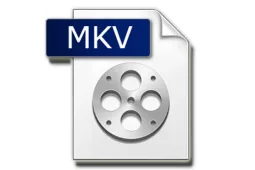 Файл mkv как воспроизвести