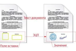 Как установить ЭЦП на компьютер пошагово, с чего начать?