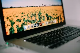 ТОП-21 лучших курсов Adobe Lightroom: какой курс выбрать, сравнение и стоимость обучения