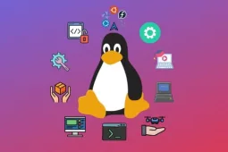 ТОП-15 лучших курсов Linux: какой курс выбрать, сравнение и стоимость