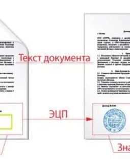 Как установить ЭЦП на компьютер пошагово, с чего начать?