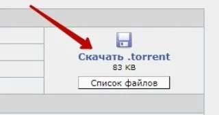 Скачивание торрент-файла