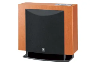 YAMAHA YST-FSW100