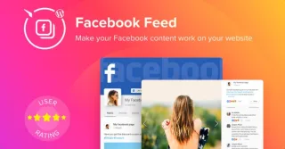 Facebook (Elfsight)