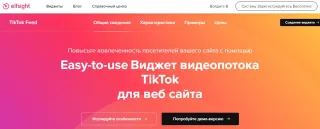 TikTok Feed (Elfsight)