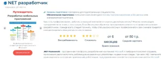 NET разработчик
