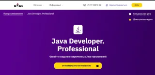 Java Developer. Professional от Otus