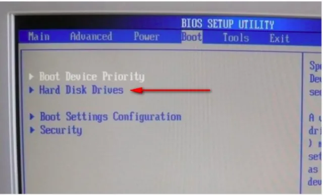 Находим строку приоритета загрузки жестких дисков «Hard Disk Drives»