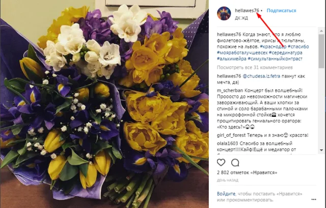Профиль публикатора