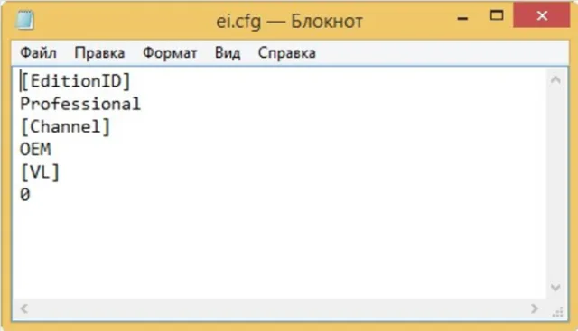 Создаем файл «ei.cfg»