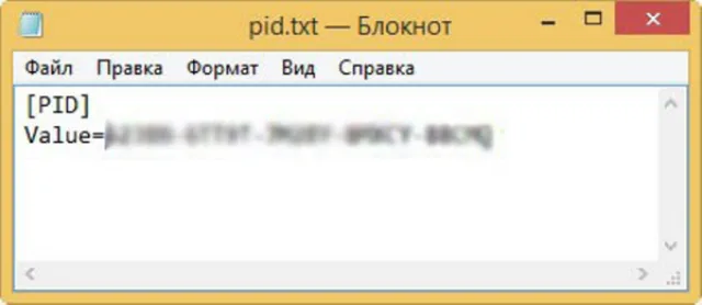 Создаем файл «pid.txt»