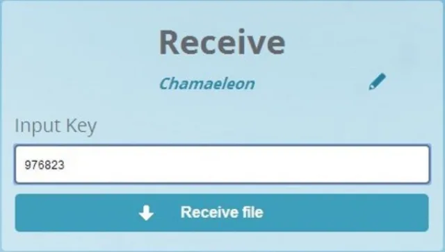 Вводим код на главной страничке, нажимаем «Receive file»