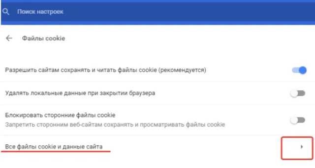 Открываем пункт «Все файлы cookie и данные сайта»
