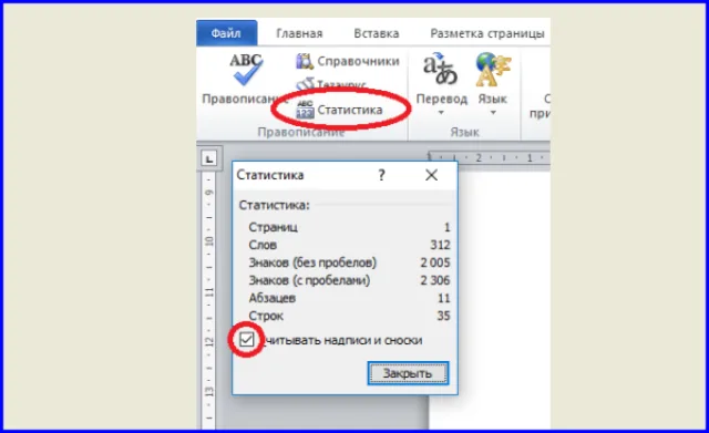 Устанавливаем параметр «Считывать надписи и сноски» в пункте меню «Статистика», открыв вкладку «Рецензирование»
