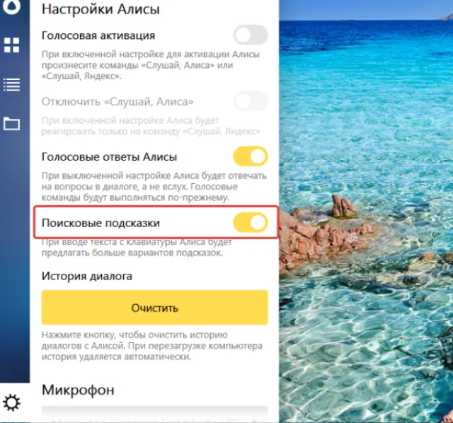 Можем включить или выключить опцию «Поисковые подсказки»