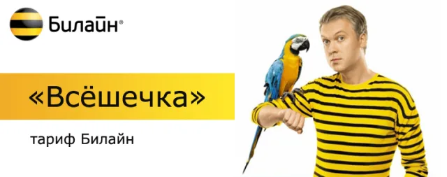 Билайн пакет «ВСЁшечка»