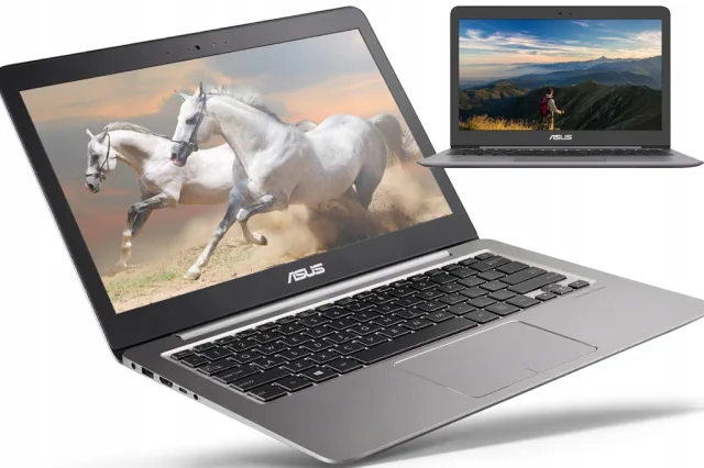 ASUS ZenBook UX310UA