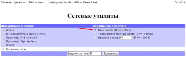 Переходим на сайт, отмечаем галочкой пункт «Пинг хоста»