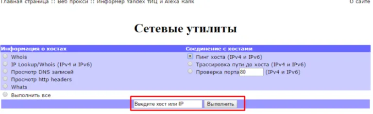 Вводим хост или IP, нажимаем кнопку «Выполнить»