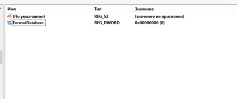 Называем параметр «FormatDatabase», щелкаем дважды левой кнопкой мыши