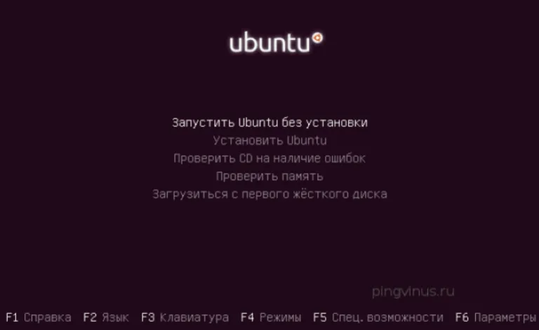 Выбираем вариант «Запустить Ubuntu без установки»