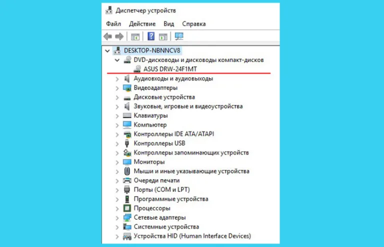 Ищем устройства с названием «DVD дисководы»
