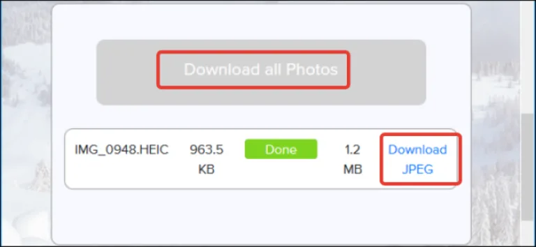 Нажимаем кнопку «Download» или «Download all Photos»