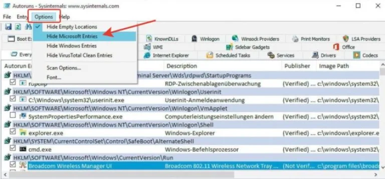 Переходим в раздел «Options» (Параметры), щелкаем по пункту «Hide Microsoft Entries» («Скрыть подписанные записи Microsoft»)