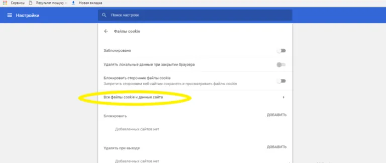 Выбираем «Все файлы cookie и данные сайта»