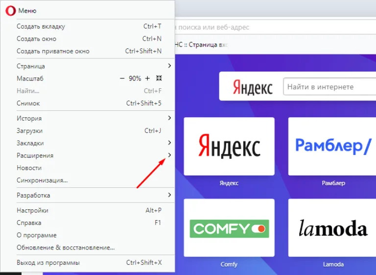 Наводим курсор мыши на строку «Расширения»