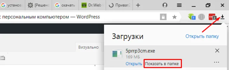 Щелкаем левой кнопкой мышки по значку «Загрузки», наводим мышку на скачанный файл антивируса, щелкаем левым кликом по опции «Показать в папке»