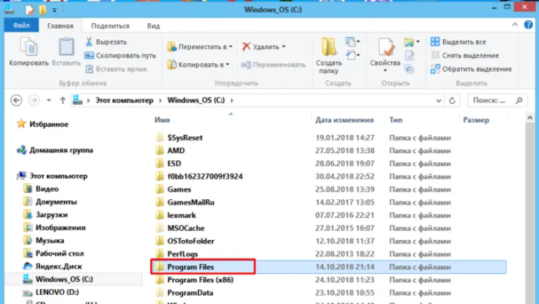 Находим и открываем папку «Program Files»
