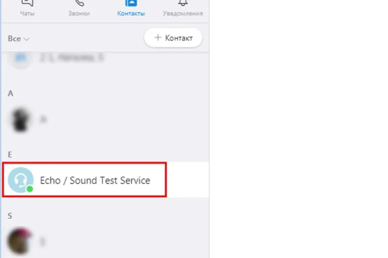 Находим контакт «Echo / Sound Test Service», нажимаем по нем мышкой