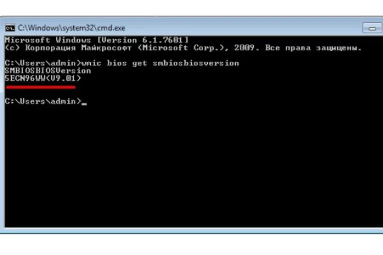 По версии БИОС невозможно определить его вид