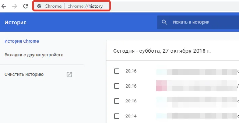 Прописываем в адресной строке Гугл Хрома «chrome://history/», нажимаем «Enter»