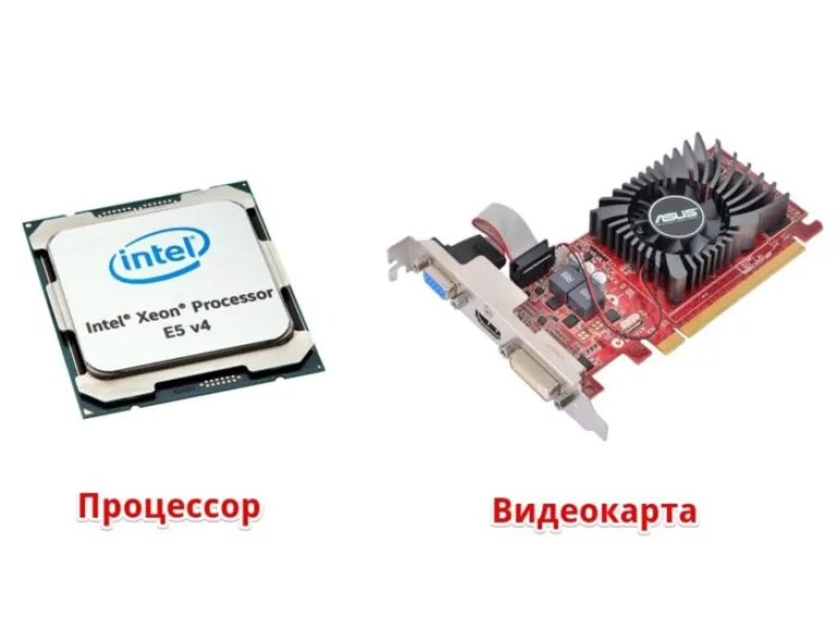 Самыми важными комплектующими компьютера являются процессор и видеокарта