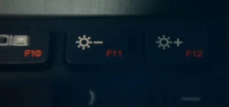 Зажимаем клавишу «Fn» и специальную клавишу из «F», в данном примере «F11»