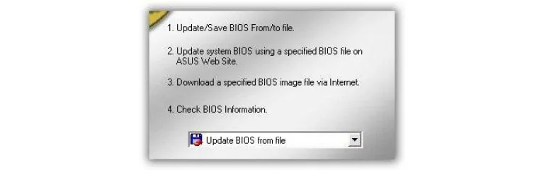 В строке «Check BIOS Information» выбираем опцию «Update from file