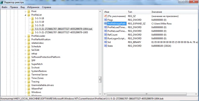 Нажимаем на «ProfileImagePath»