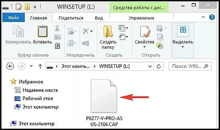 Копируем распакованный файл BIOS на накопитель USB