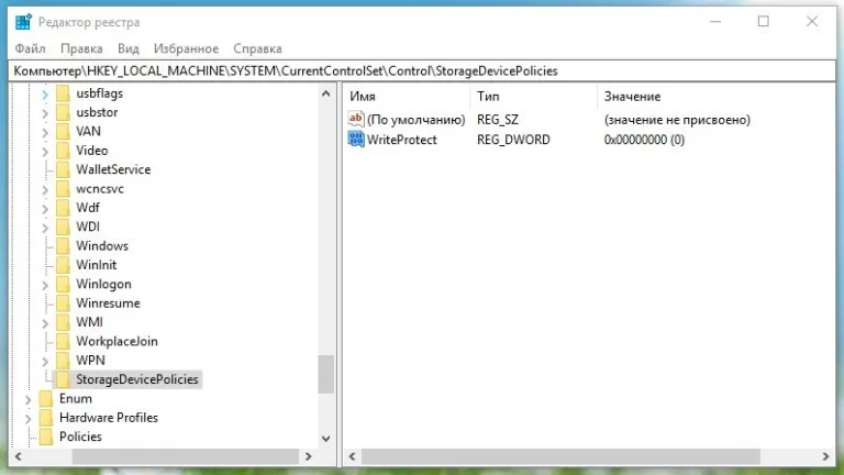 Называем раздел «WriteProtect»