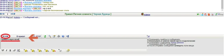 Пишем текст сообщения в форме снизу, затем отправляем, нажав на кнопку «Всем» или «В приват»